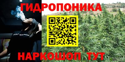 амф Донецк