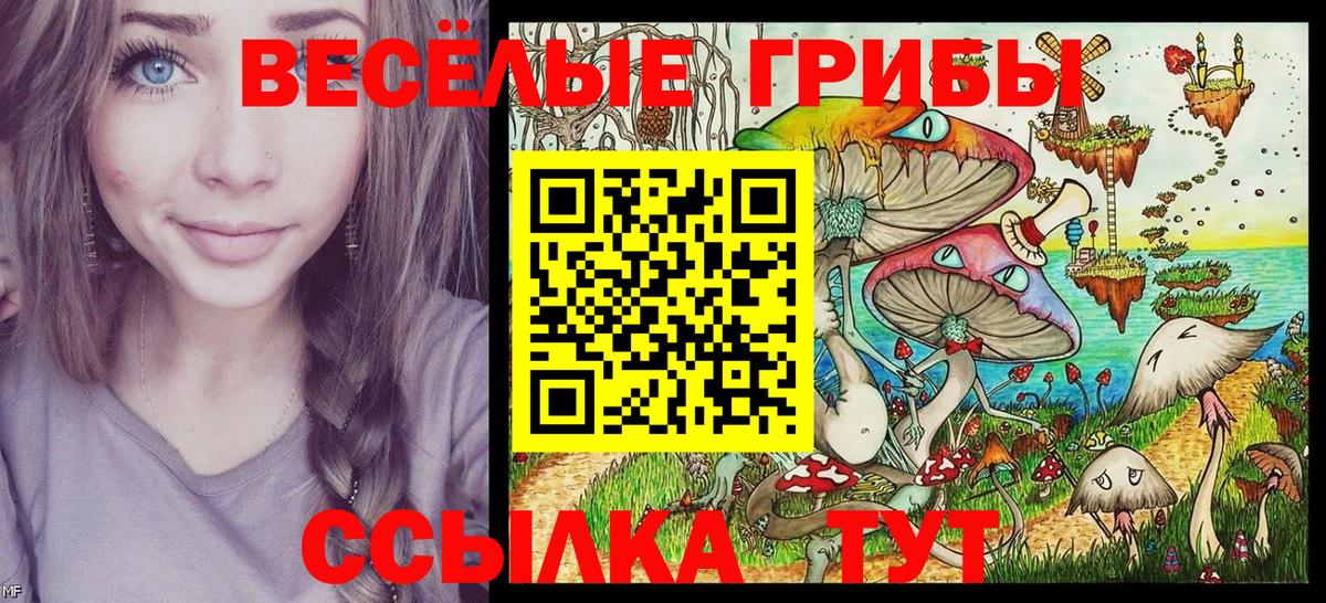 Крымск  Галлюциногенные грибы Psilocybe  Вход с VPN  Галлюциногенные грибы прущие грибы 